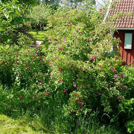 Langesater B&B Lerdala Zewnętrze zdjęcie
