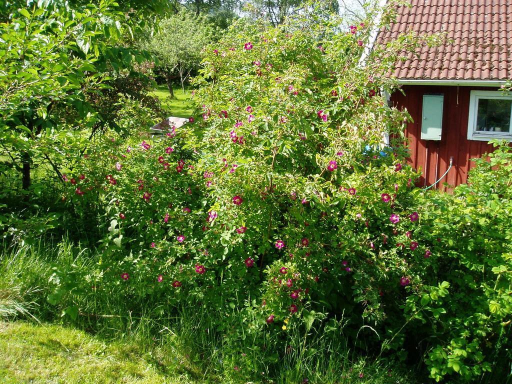 Langesater B&B Lerdala Zewnętrze zdjęcie